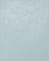 Edem Плитка настенная голубая (EDB041R)	 20x25