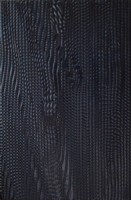 Агама черная Плитка настенная 06-01-04-156 20х30 (Питер)