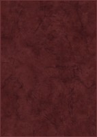 Tokio Плитка настенная коричневая (C-TKM191R) 25x35