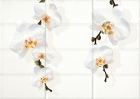 Mono Декор светло-бежевый цветы (MY2M302D) 25x35