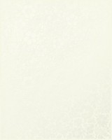Edem Плитка настенная белая (EDB051R) 20x25