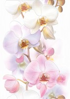 Tropikana Декор Orchids (TC2M051DT) 25х35