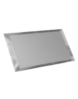 Прямоугольная зеркальная серебряная матовая плитка с фацетом 10мм ПЗСм1-01 - 240х120 мм/10шт